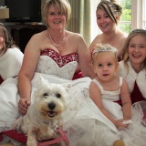 Wedding Photography in Hampshire, Surrey and Dorset